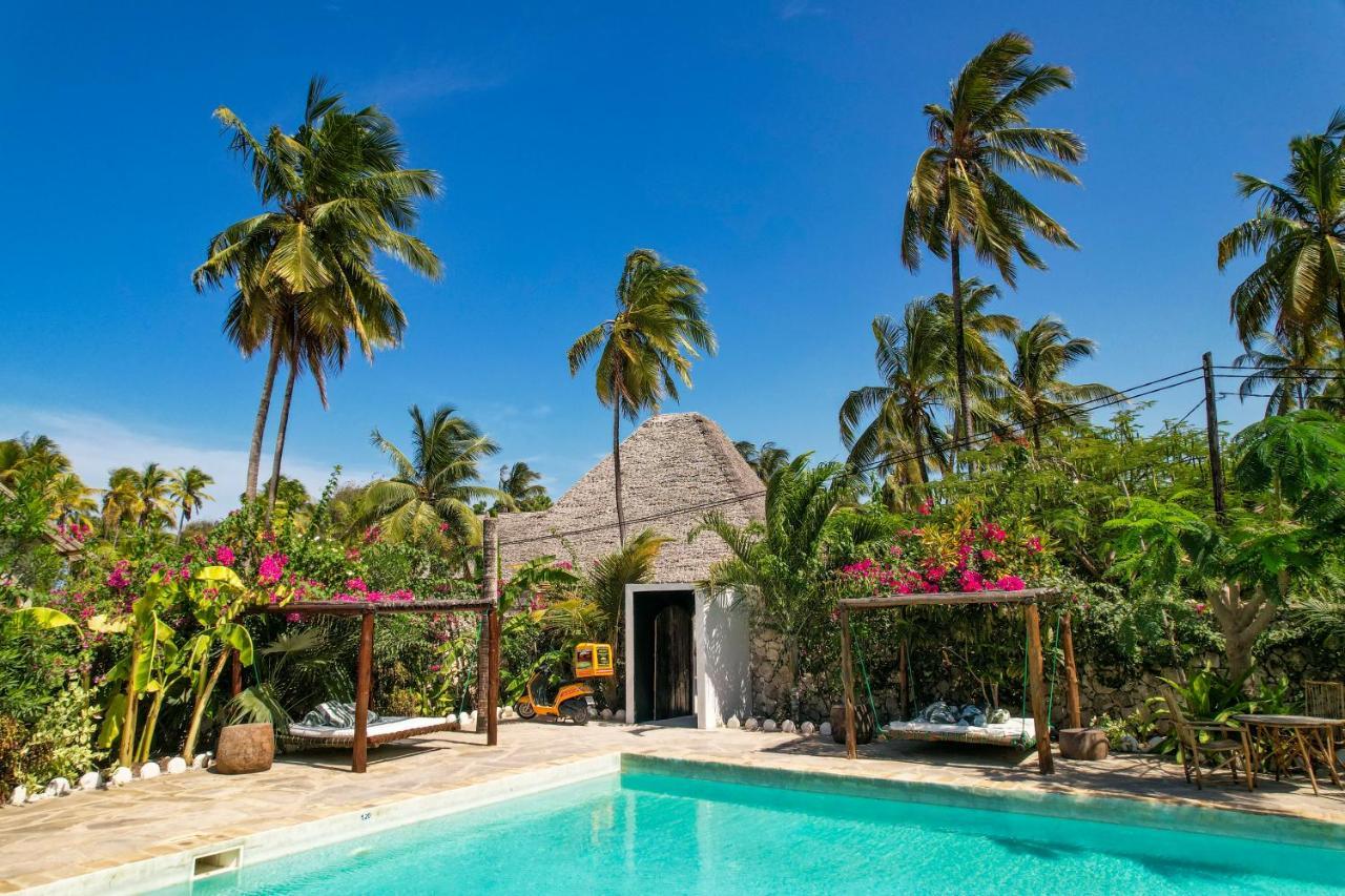 Tropical Oasis Boutique Hotel Michamvi Kültér fotó